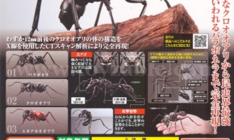 Bandai The Diversity of Life on Earth Ant