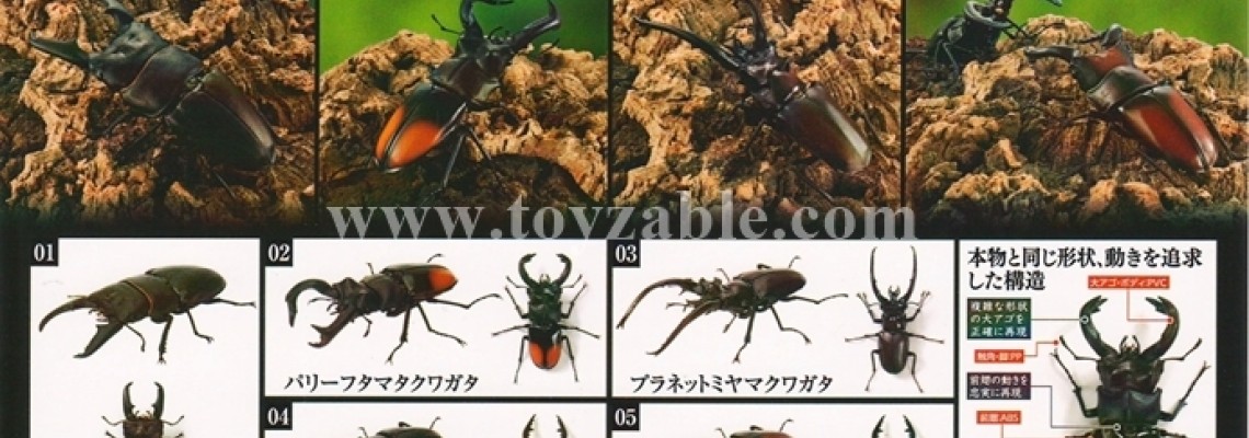 Bandai The Diversity of Life on Earth Stag Beetle 6