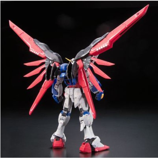 RG 1/144 [11] Destiny Gundam