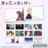 SUNRISEPOP The Fragrant Flower Blooms with Dignity Postcard Set