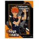 Ensky Paper Shadow Art Mini Anime Haikyuu!! SA-M07 Shoyo Hinata