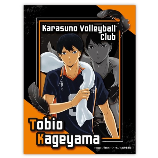 Ensky Paper Shadow Art Mini Anime Haikyuu!! SA-M08 Tobio Kageyama