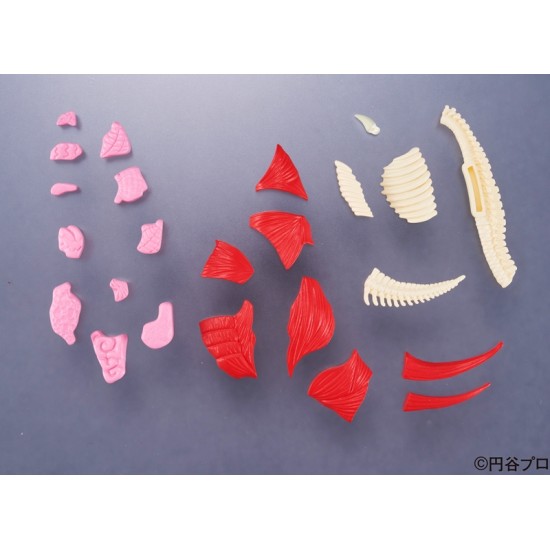 Megahouse Kaitai Puzzle Fantansy - Gomora Puzzle Megahouse Kaitai Puzzle Fantansy - Gomora Puzzle