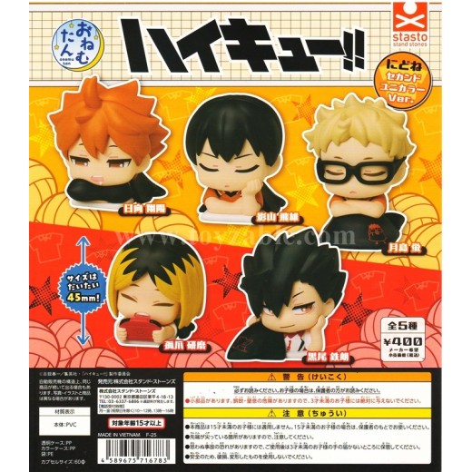 [Sell In Set] Stasto Onemutan Haikyu!! Nidone Second Unicolor Ver.