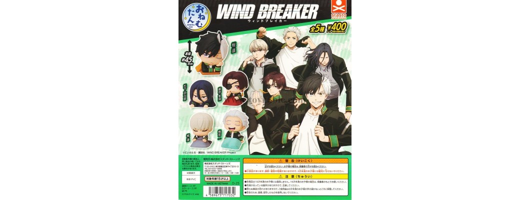 Stasto Onemutan TV Anime WIND BREAKER