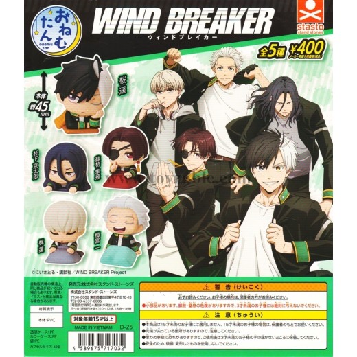[Sell In Set] Stasto Onemutan TV Anime WIND BREAKER