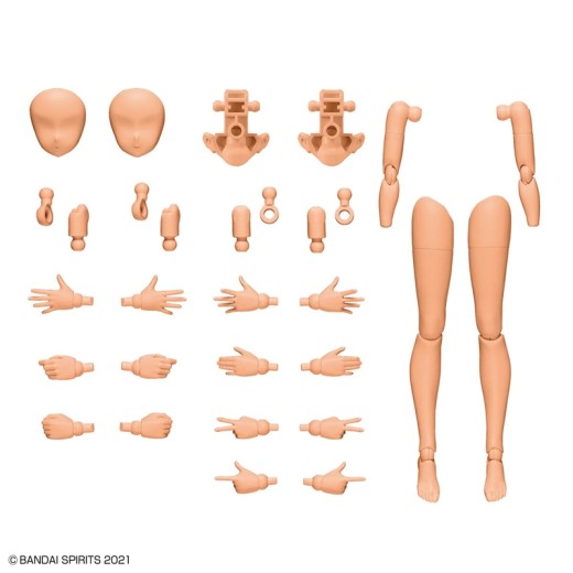 Bandai 30MS [OB-11] Option Body Parts Arm Parts & Leg Parts (Color C)