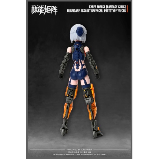 Nuke Matrix Fantasy Girl Hurricane Assault Revenger: Prototype Yaeger CF03