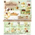 [PreOrder] Re-ment miffy sweets shop (Set of 8)