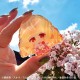 [PreOrder] MEGAHOUSE KARAKORO SERIES - Clear Candy Figures Agents of the Four Seasons : Dance of Spring (Set of 8)