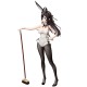 [PreOrder] FREEing ¼ I May Be a Guild Receptionist, But I'll Solo Any Boss to Clock Out on Time - Alina Clover: Bunny Ver.