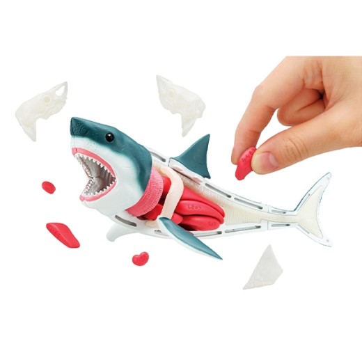 [PreOrder] MEGAHOUSE KAITAI PUZZLE - SHARK PUZZLE