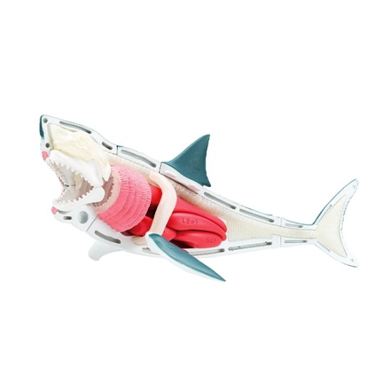 [PreOrder] MEGAHOUSE KAITAI PUZZLE - SHARK PUZZLE