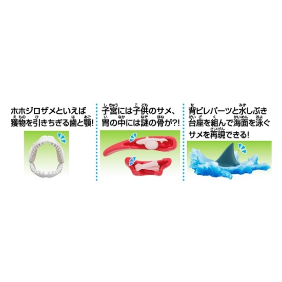 [PreOrder] MEGAHOUSE KAITAI PUZZLE - SHARK PUZZLE