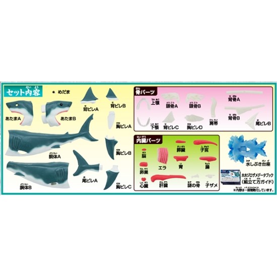 [PreOrder] MEGAHOUSE KAITAI PUZZLE - SHARK PUZZLE