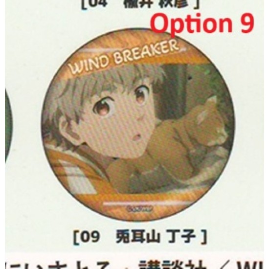 [Sell In Single] Nic WIND BREAKER Scene Cutout Can Badge