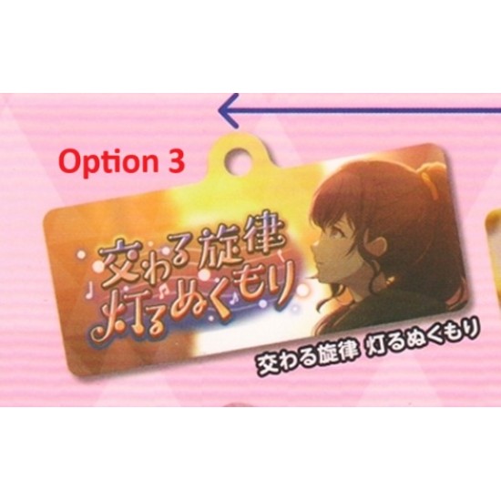 [Sell In Single] Sega Project SEKAI Colorful Stage! feat. Hatsune Miku Capsule Metal Banner Key Chain Collection Vol. 9