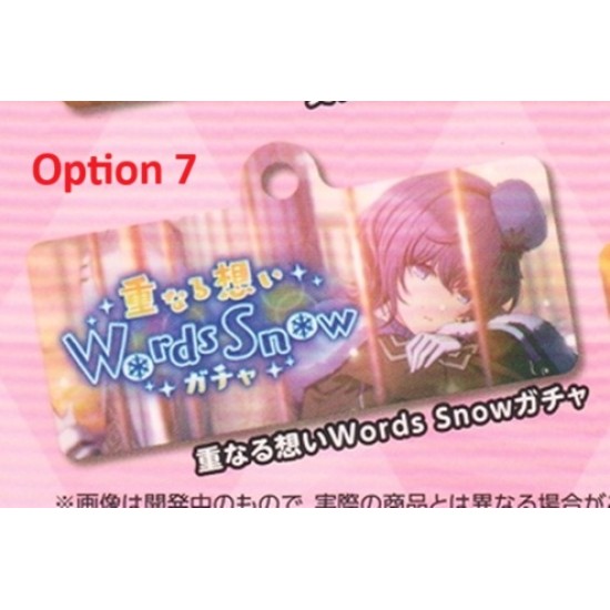 [Sell In Single] Sega Project SEKAI Colorful Stage! feat. Hatsune Miku Capsule Metal Banner Key Chain Collection Vol. 9