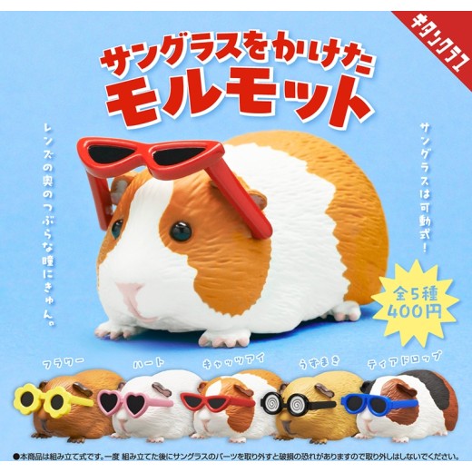 Kitan Club Sunglasses Guinea Pig