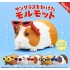 Kitan Club Sunglasses Guinea Pig