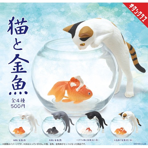 Kitan Club Cat with Goldfish