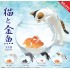 Kitan Club Cat with Goldfish