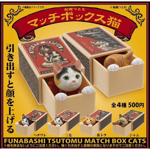 Kitan Club Cat in the Matchbox