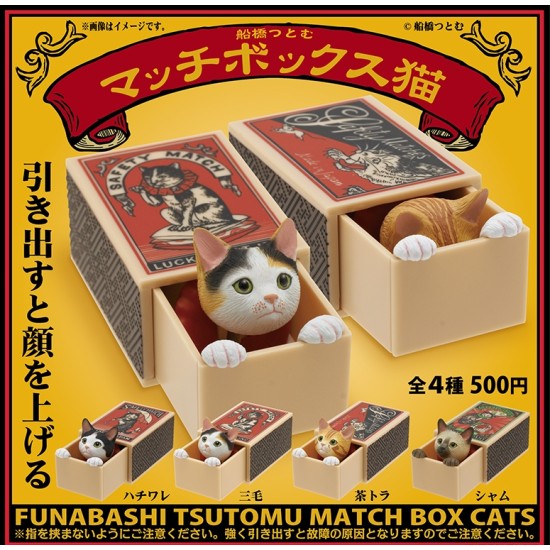 Kitan Club Cat in the Matchbox