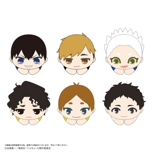 Max Limited HQ-77 Haikyu!! Hug x Character Collection 10