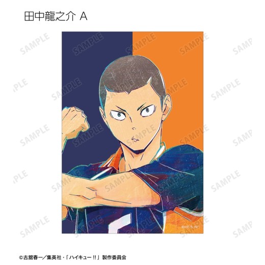 Armabianca Haikyuu!! Trading Ani-Art Vol.4 Bromide