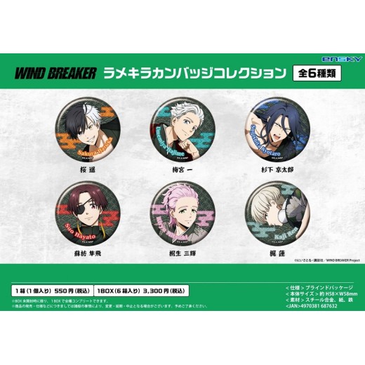 Ensky Wind Breaker Lame Kira Can Badge Collection