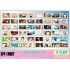 Ensky TV Anime Spy x Family Snap Card 3